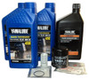 KIT FOR F50, T50, F60, T60 MODEL YEARS 2000-2004 100 HOUR MAINTENANCE KIT     F100HRKTF50-14