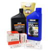 F25C AND T25C 100 HOUR MAINTENANCE KIT     F100HRKTF25C-84