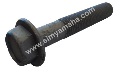 LOWER UNIT ANODE BOLT