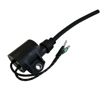 IGNITION COIL ASSEMBLY     6H5-85570-00-00