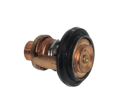 THERMOSTAT     656-12411-01-00