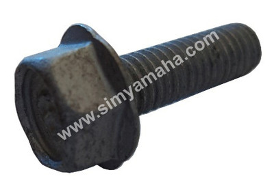 LOWER UNIT ANODE BOLT