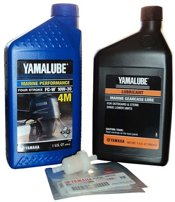 10W30 F60 2001-2005 AS WELL AS PRIMARY IDS 60N-1008336 THORUGH 1014509 100 HOUR MAINTENANCE KIT     F100HRKT6-29