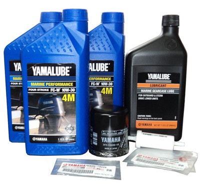 10W30 F40 2000 100 HOUR MAINTENANCE KIT     F100HRKT40-20