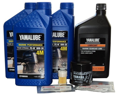 F50, T50, F60, T60 100 HOUR MAINTENANCE KIT  (CLICK FOR MODEL SPECIFIC DETAILS)     F100HRKTF50-16