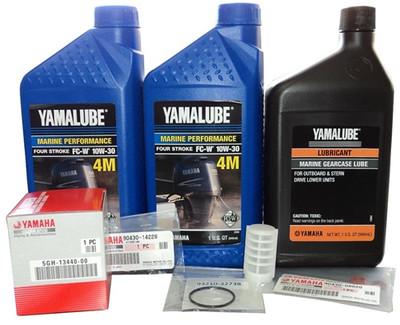 10W30 F9.9, T9.9, F15, F25, T25 2005 AND BEYOND 100 HOUR MAINTENANCE KIT (CLICK FOR MODEL SPECIFIC DETAILS)     F100HRKT991525-22