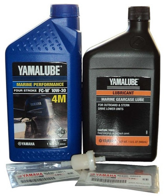 F8, T8, F9.9, T9.9 100 HOUR MAINTENANCE KIT (CLICK FOR MODEL SPECIFIC DETAILS)     F100HRKT899-30