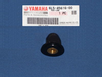 PROPELLER NUT     6L5-45616-00-00