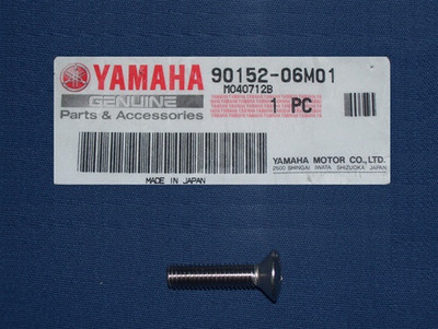 BRACKET ANODE OVAL HEAD SCREW     90152-06M01-00