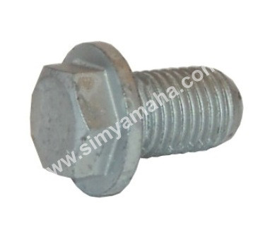 OIL DRAIN PLUG     90340-10M10-00