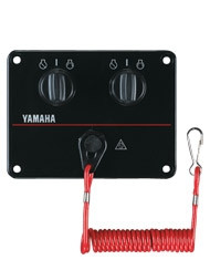 TWIN SWITCH PANEL