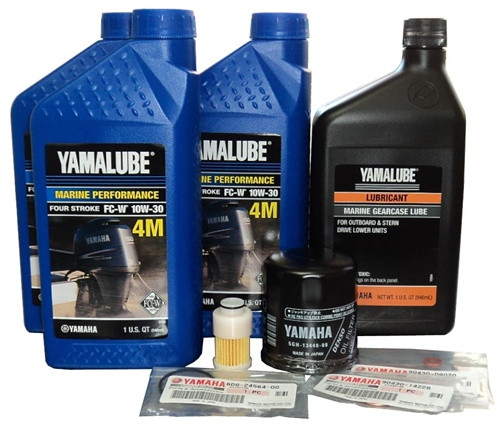 10W30 F50, F60, T60 2005 100 HOUR MAINTENANCE KIT     F100HRKTF5060-17