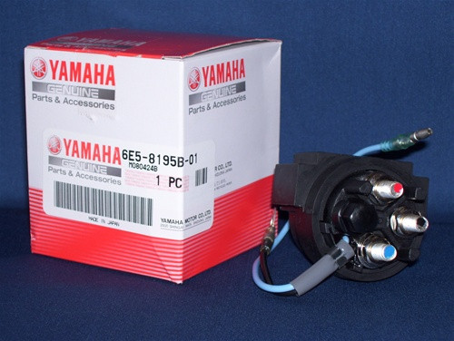 POWER TRIM AND TILT ASSEMBLY     6E5-8195B-01-00