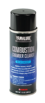 COMBUSTION CHAMBER CLEANER     ACC-CMBSN-CL-NR