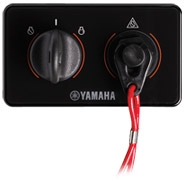 PANEL SWITCH ASSEMBLY