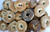 Davidovich - Assorted Mini Bagels 