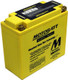 MotoBatt MB51814 12V 22 Ah 220 CCA Sealed Lead Acid (SLA) AGM Maintenance Free Battery Replaces Yuasa BMW 51814 51913 Yuasa YT19BL-BS ODYSSEY PC680