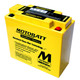 MotoBatt MB51814 22Ah 220 CCA AGM Powersports Battery