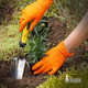 Outrageous Orange 8 mil Disposable Powder-Free Nitrile Gloves - Orange, 1000 Count
