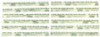 Clevite Plastigage Green Plastigage - 12 Pack
