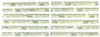 Clevite Plastigage Green Plastigage - 12 Pack