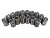 COMP Cams Valve Springs 1.250in Ovate Wi