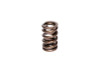 COMP Cams Valve Spring 1.250in Ovate Wir