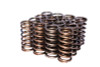 COMP Cams Valve Springs 0.940in Inner B 974-16