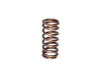 COMP Cams Valve Spring 0.940in Inner Bl