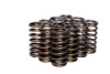 COMP Cams Valve Springs 0.970in Inner
