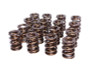 COMP Cams Valve Springs 1.550in Inter-Fi