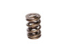 COMP Cams Valve Spring 1.630in Inter-Fit