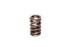 COMP Cams Valve Spring 1.255in High Perf