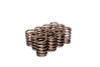 COMP Cams Valve Springs Ford 240-300
