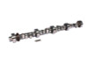 COMP Cams Camshaft FW 290Rf-HR10