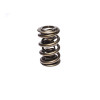 COMP Cams Valve Spring 2.300in Drag Race 26580-1