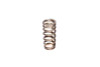 COMP Cams Valve Spring Ford 4.6L 2 Valve