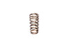 COMP Cams Valve Spring Ford 4.6L 2 Valve