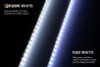 Diode Dynamics RGBW Multicolor Underglow LED Kit