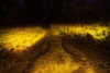 Diode Dynamics SS3 LED Pod Sport - Yellow SAE Fog Round (Pair)