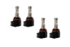 Diode Dynamics H11 XP80 LED - Cool - White Set of 4