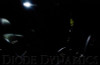 Diode Dynamics 39mm HP6 LED Bulb LED - Blue (Single)