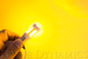 Diode Dynamics 1157 LED Bulb XP80 LED - Amber (Single)