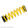 ST Audi A4 (B9) Sedan 2WD Adjustable Lowering Springs 273100AV