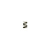 Turbosmart Gen-V WG38/40 3psi Black Inner Spring