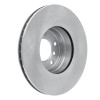 R1 04-10 BMW 525i (Mexico) Front Brake Rotor