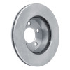 R1 1995-2002 Ford Explorer Front Brake Rotor