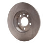 R1 2001-2003 Volkswagen EuroVan Rear Brake Rotor