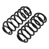 ARB / OME Coil Spring Rear Mits Pajero Ns SWB