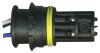 NGK Mercedes-Benz C43 AMG 2000-1998 Direct Fit Oxygen Sensor Part Number 25594